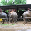 Thailand (201)